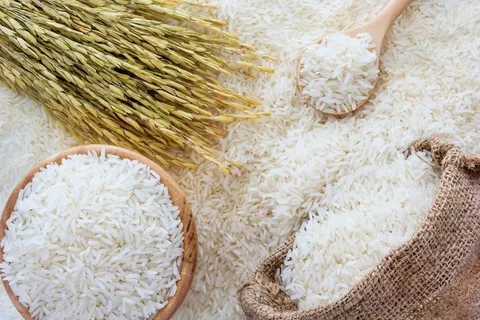 خرید برنج هاشمی دودی + قیمت فروش استثنایی